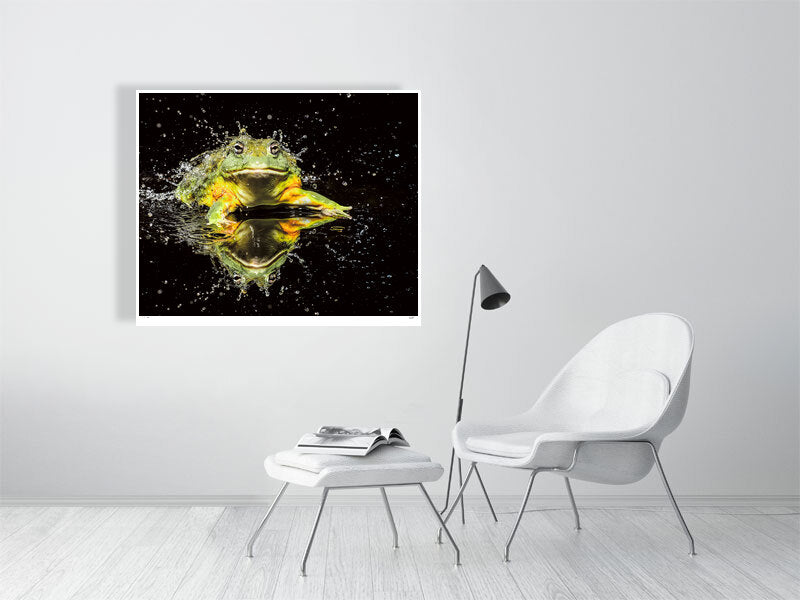 African bullfrog portrait by animal photographer Tim Platt limited edition print from Tim Platt Fine Art Photography Prints
