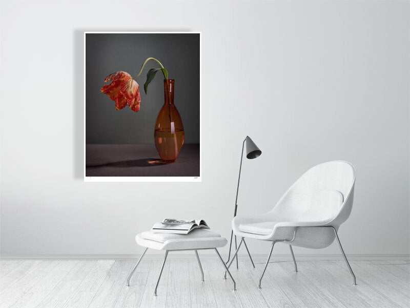 Orange Parrot tulip and orange glass vase still-life by Tim Platt Fine Art Photography