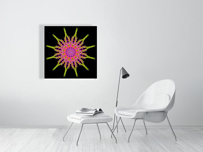 Gladioli floral mandala art by flower photographer Tim Platt limited edition print from Tim Platt Fine Art Photography Prints