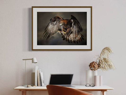 Golden Eagle hunting