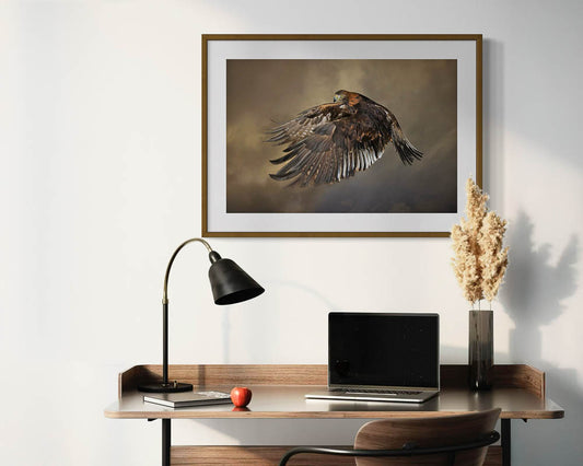 Steinadler im Flug Nr. 2