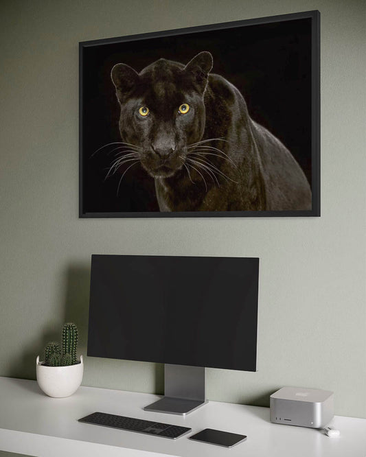 Black Leopard #2