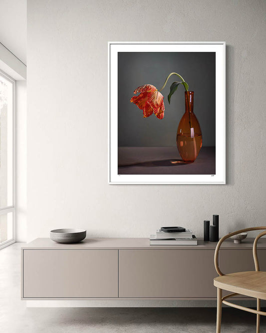 Orange Parrot tulip in a glass vase by Tim Platt Fine Art Photography