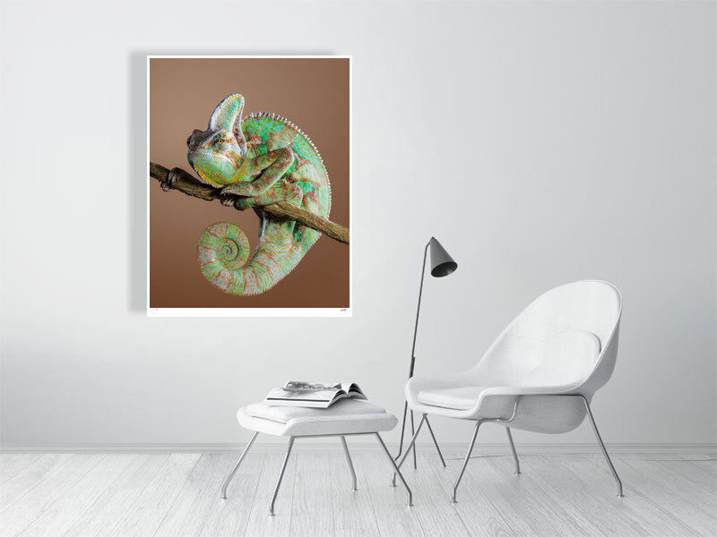 Chameleon portrait by fine art photographer Tim Platt limited edition print from Tim Platt Fine Art Photography Prints