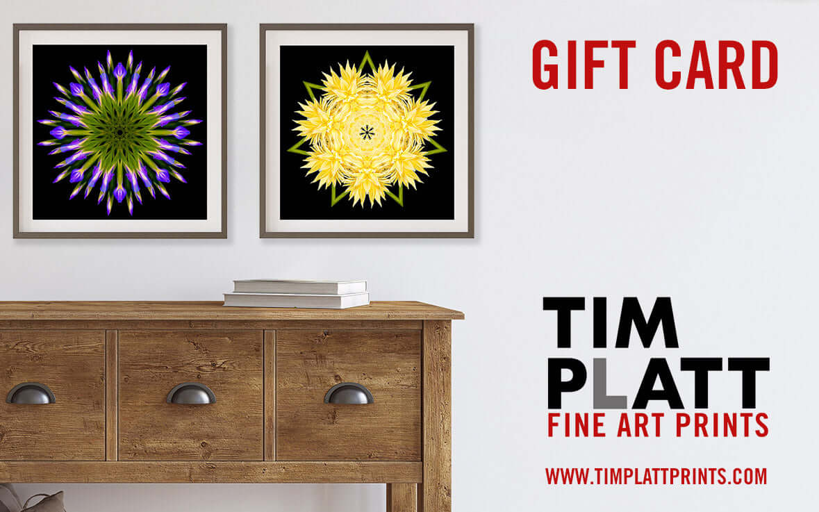 Gift cards from Tim Platt Fine Art Photography limited edition print from Tim Platt Fine Art Photography Prints