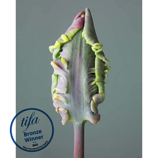  Tim Platt winner Tokyo International Foto Awards winner 2023