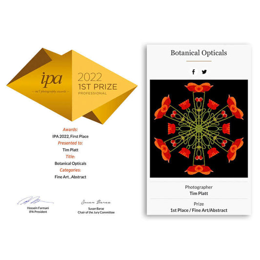Tim Platt's Botanical Opticals series IPA Fine Art first prize award