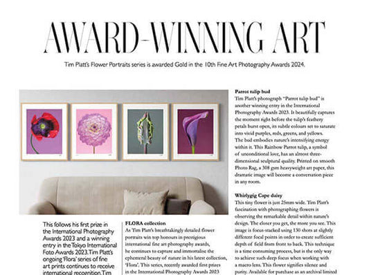 Feature about award-winning fine art photographer Tim Platt in London Life Magazine
