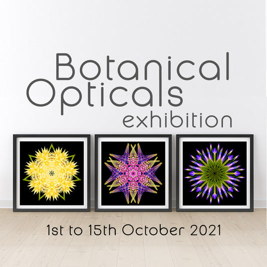 Botanical Opticals exhibition logo