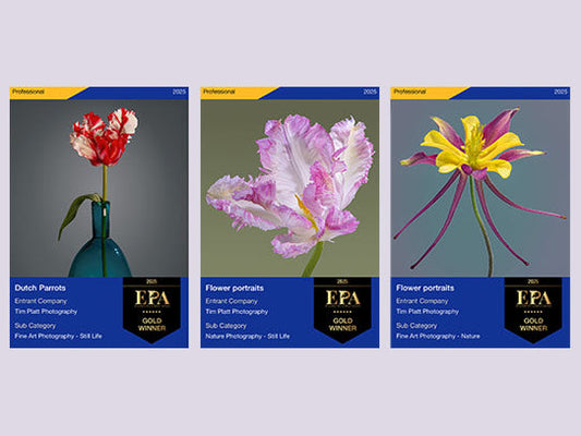 Tim Platt wins 3 Golds in the European Photography Awards 2025