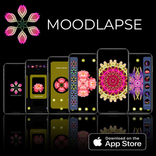 Photo of Moodlapse iOS app by Tim Platt on an iPhone