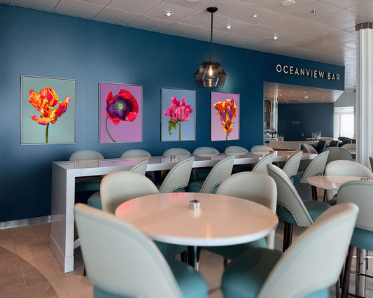 Four extra large large flower photography prints displayed on board a luxury cruise ship bar