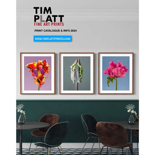 Tim Platt Fine Art Prints brochure
