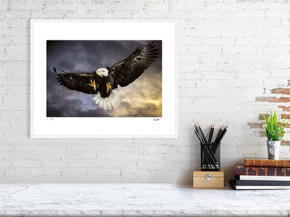 A Bald Eagle swoops in mid-flight against a dramatic sky by photographer Tim Platt available online from Tim Platt Fine Art Photography Prints