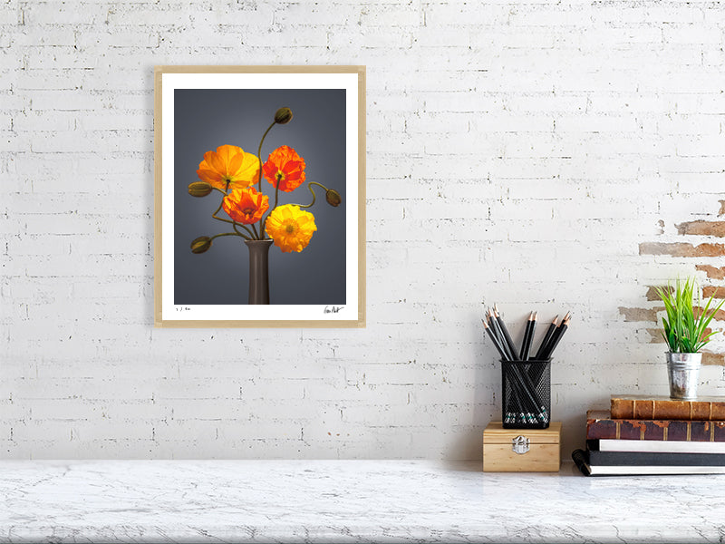 Californian poppies by Tim Platt Fine Art Photography