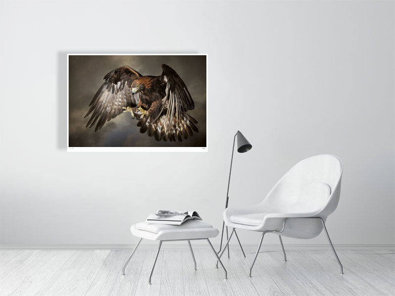 A Golden Eagle in swooping against a dramatic sky by photographer Tim Platt available online from Tim Platt Fine Art Photography Prints