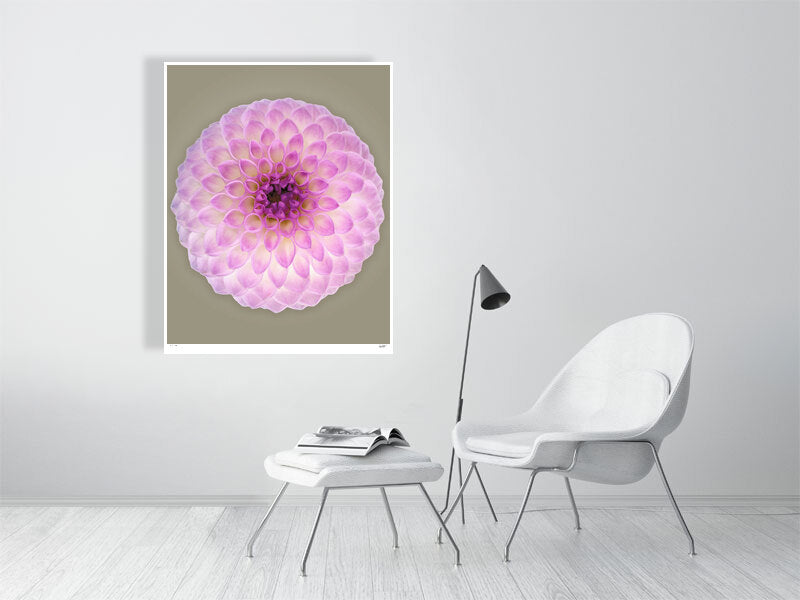 Ball dahlia #2 by Tim Platt Fine Art Photography