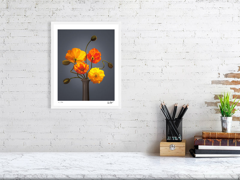 Californian poppies by Tim Platt Fine Art Photography