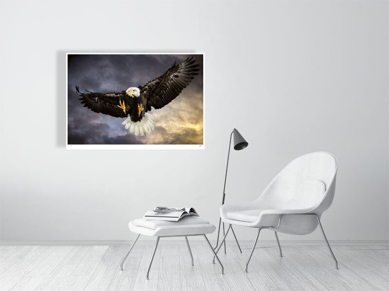 A Bald Eagle swoops in mid-flight against a dramatic sky by photographer Tim Platt available online from Tim Platt Fine Art Photography Prints