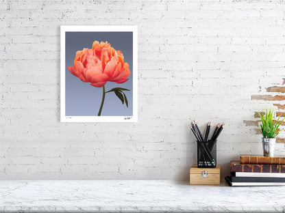 Coral peony by Tim Platt Fine Art Photography
