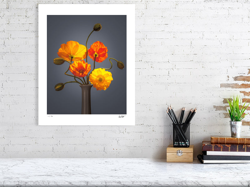Californian poppies by Tim Platt Fine Art Photography