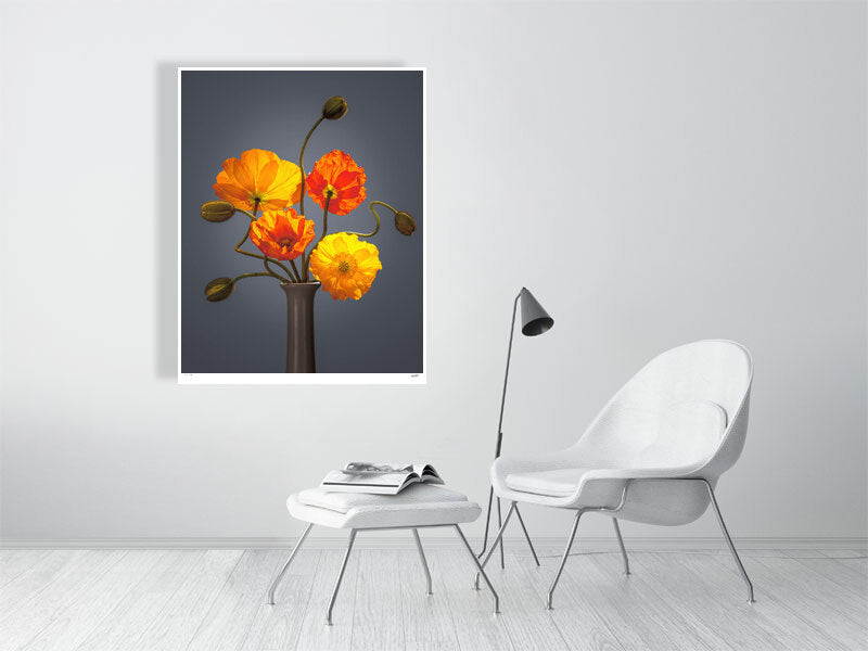 Californian poppies by Tim Platt Fine Art Photography
