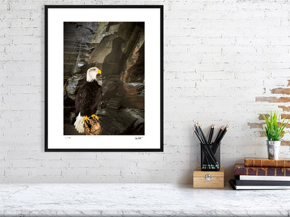 A Bald Eagle is perched against a rocky cliff face by photographer Tim Platt available online from Tim Platt Fine Art Photography Prints