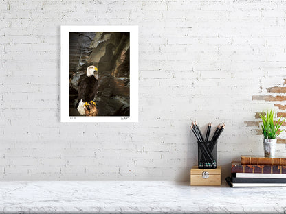 A Bald Eagle is perched against a rocky cliff face by photographer Tim Platt available online from Tim Platt Fine Art Photography Prints