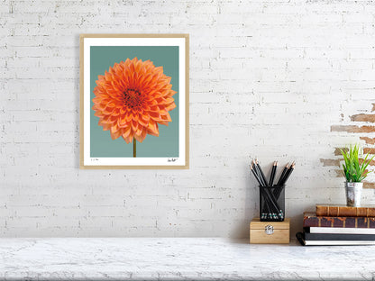 Orange dahlia by Tim Platt Fine Art Photography