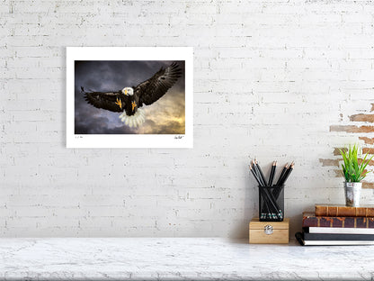 A Bald Eagle swoops in mid-flight against a dramatic sky by photographer Tim Platt available online from Tim Platt Fine Art Photography Prints