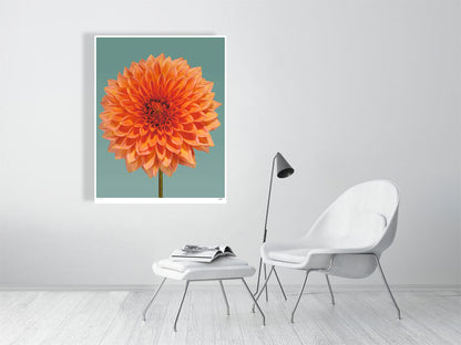 Orange dahlia by Tim Platt Fine Art Photography