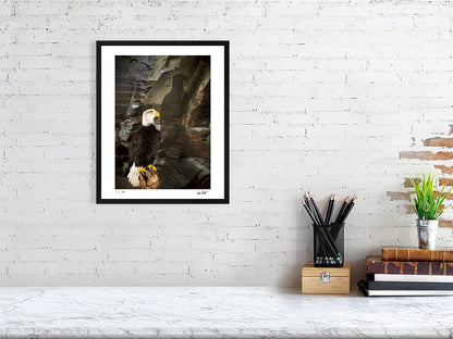 A Bald Eagle is perched against a rocky cliff face by photographer Tim Platt available online from Tim Platt Fine Art Photography Prints