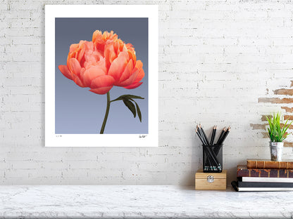 Coral peony by Tim Platt Fine Art Photography