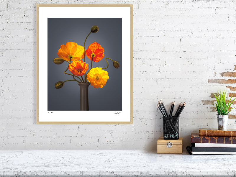 Californian poppies by Tim Platt Fine Art Photography