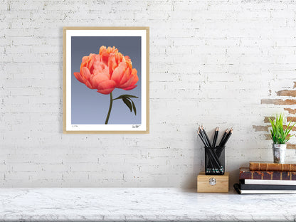 Coral peony by Tim Platt Fine Art Photography