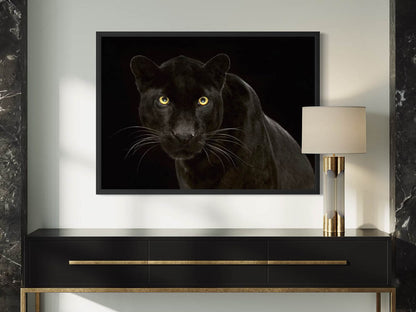 Black Leopard #2