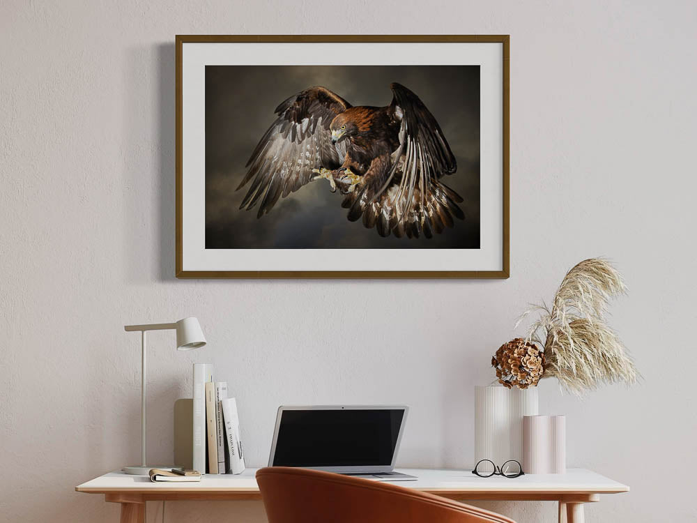 Steinadler im Flug Nr. 1