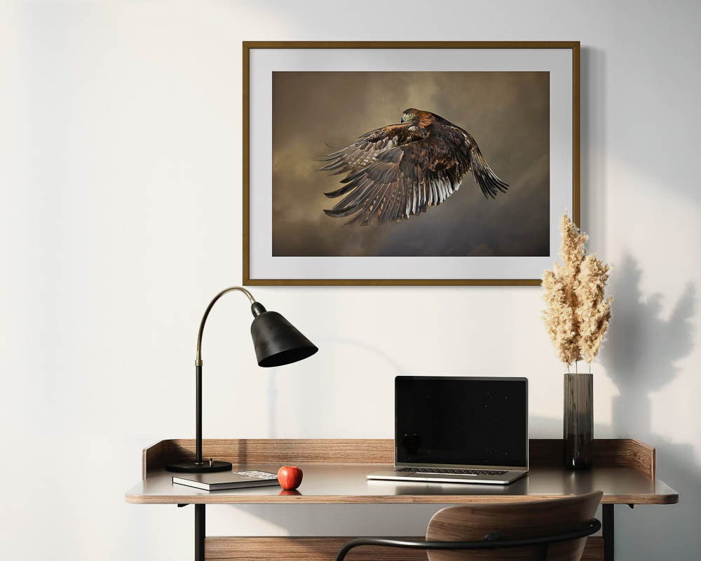Golden Eagle in flight