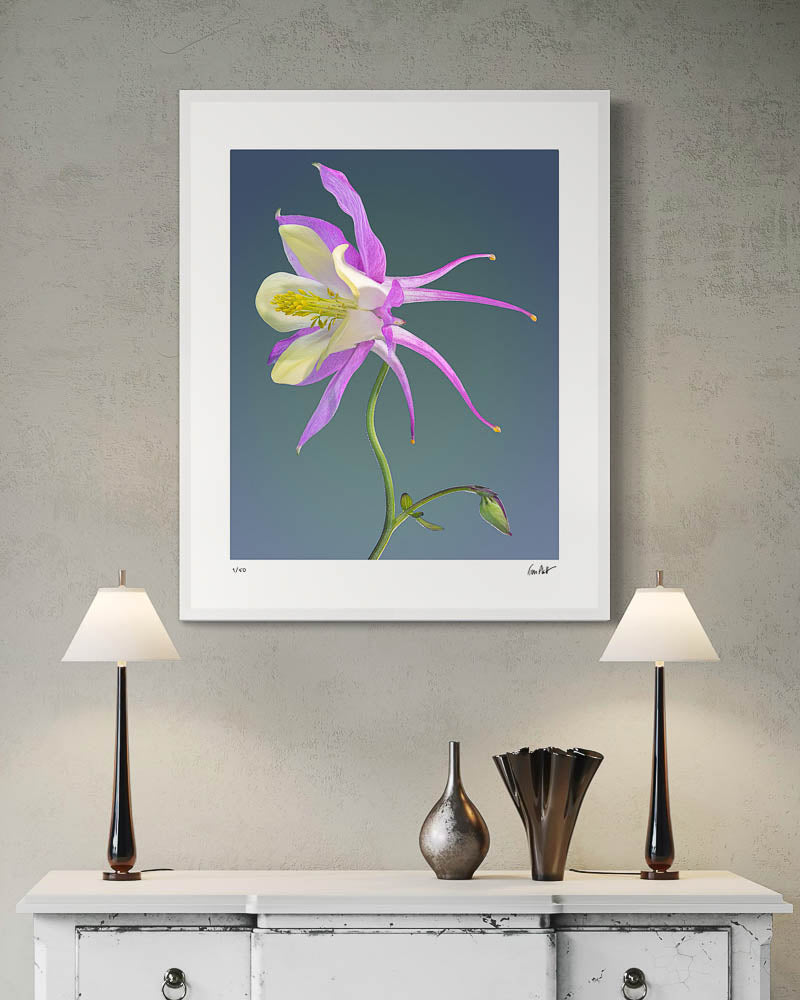 Columbine #1