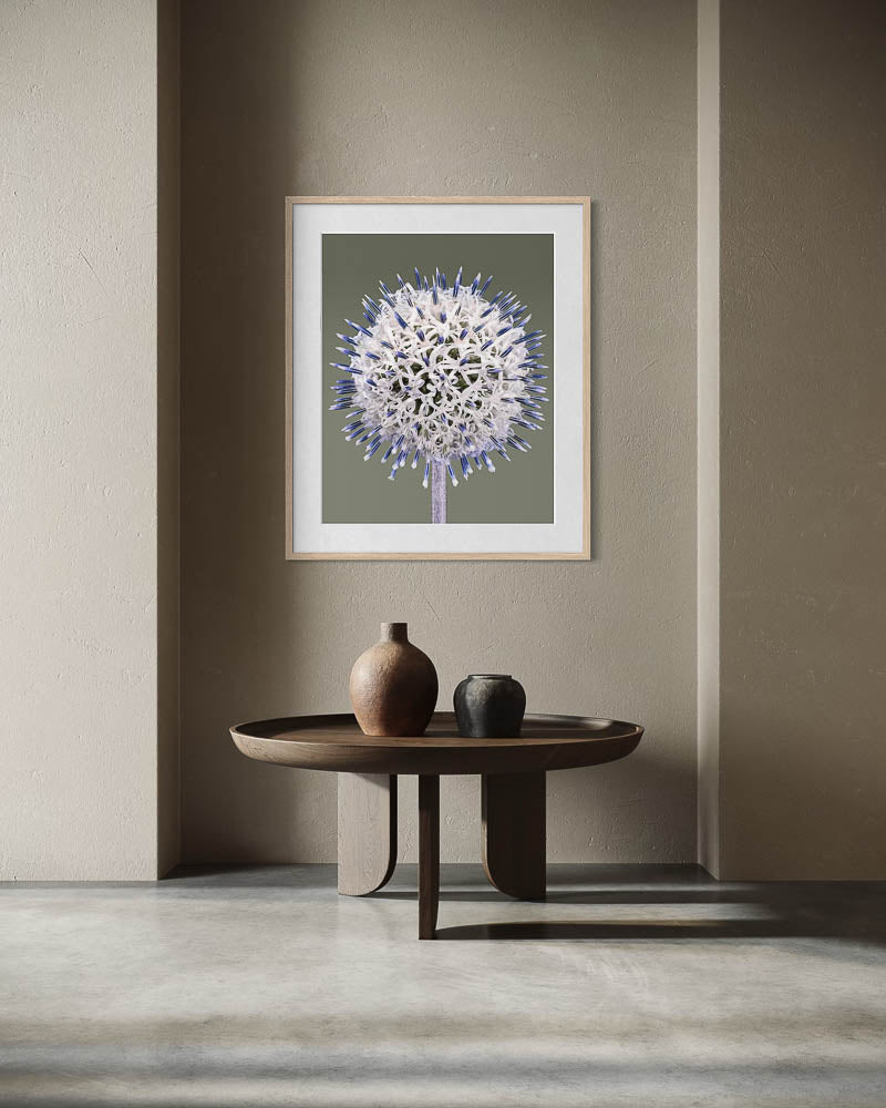Globe Thistle