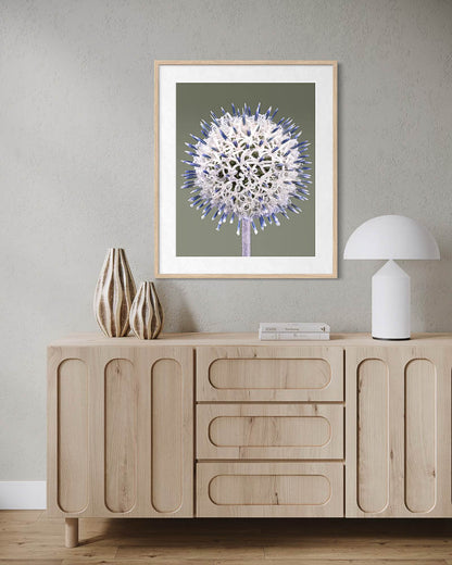 Globe Thistle
