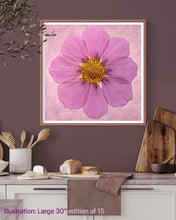 Load image into Gallery viewer, Pressed cosmos flower on paper
