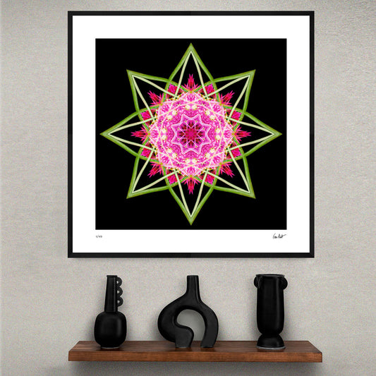 Pink dahlia