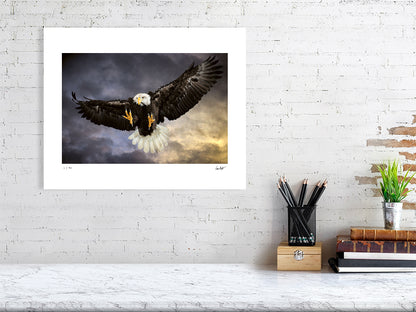 A Bald Eagle swoops in mid-flight against a dramatic sky by photographer Tim Platt available online from Tim Platt Fine Art Photography Prints