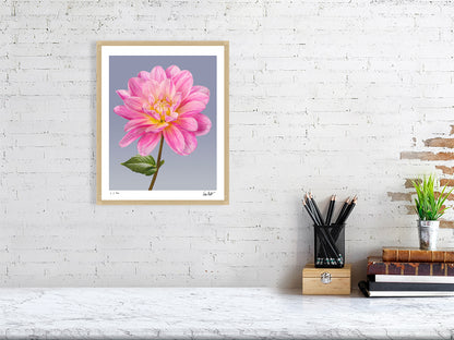 Pink dahlia by Tim Platt Fine Art Photography