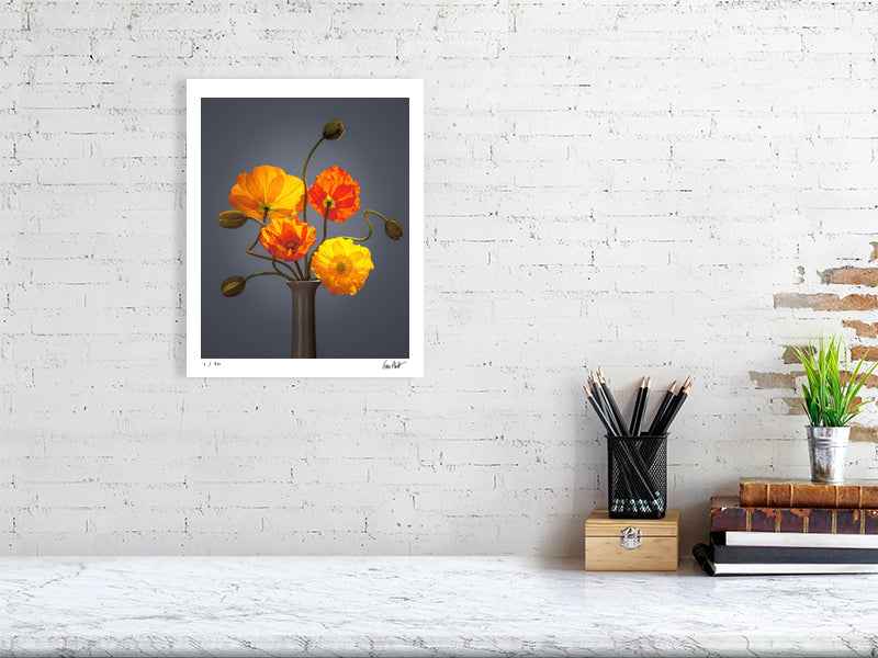 Californian poppies by Tim Platt Fine Art Photography