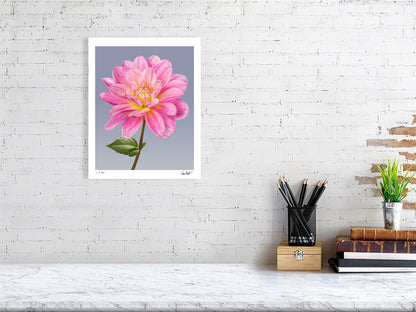 Pink dahlia by Tim Platt Fine Art Photography
