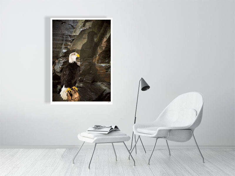 A Bald Eagle is perched against a rocky cliff face by photographer Tim Platt available online from Tim Platt Fine Art Photography Prints