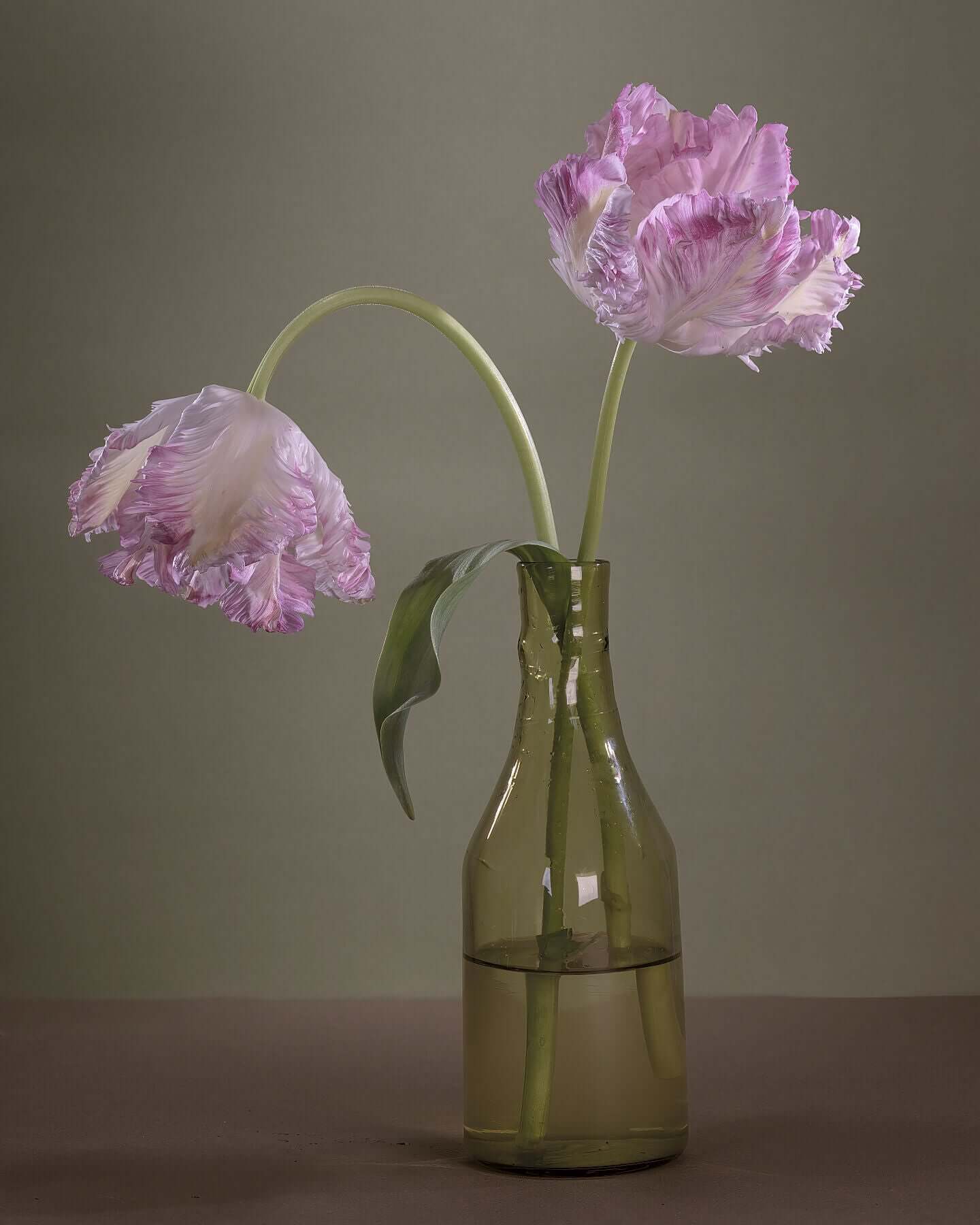 Two pink Parrot tulips and green glass vase still-life by Tim Platt Fine Art Photography