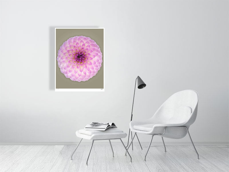 Ball dahlia #2 by Tim Platt Fine Art Photography